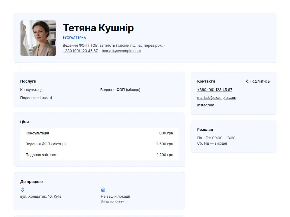 Шаблон «Професійний»
