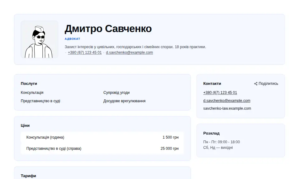 Шаблон «Професійний»