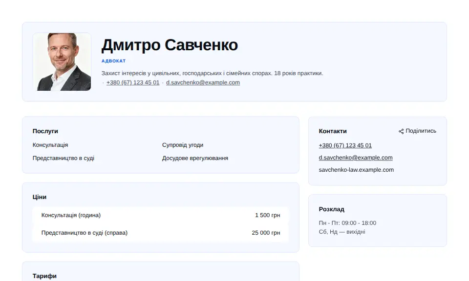 Шаблон «Професійний»