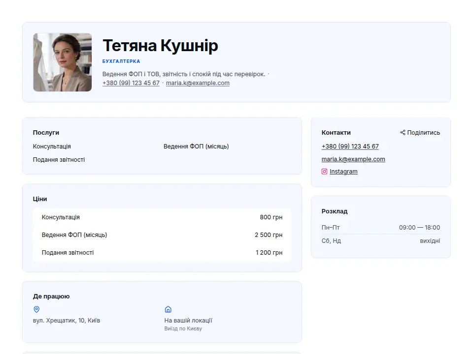 Шаблон «Професійний»